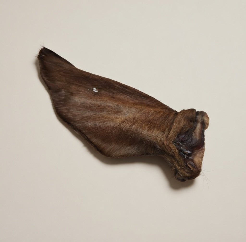 Beef Ear with Fur - Dehydrated Chews dog chews, package front view