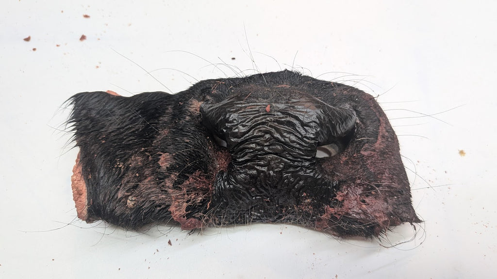 Beef Snout Whole freeze-dried treats, package front view