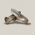 Ear of the Deer natural dog chew from Ruff'n Treatz