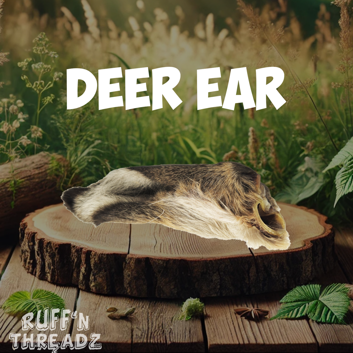 Dog enjoying an Ear of the Deer natural chew
