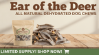 Close-up of Ear of the Deer all-natural dog chews