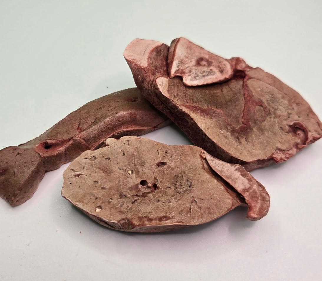 Close-up of Deer Liver Treats freeze-dried dog treat pieces