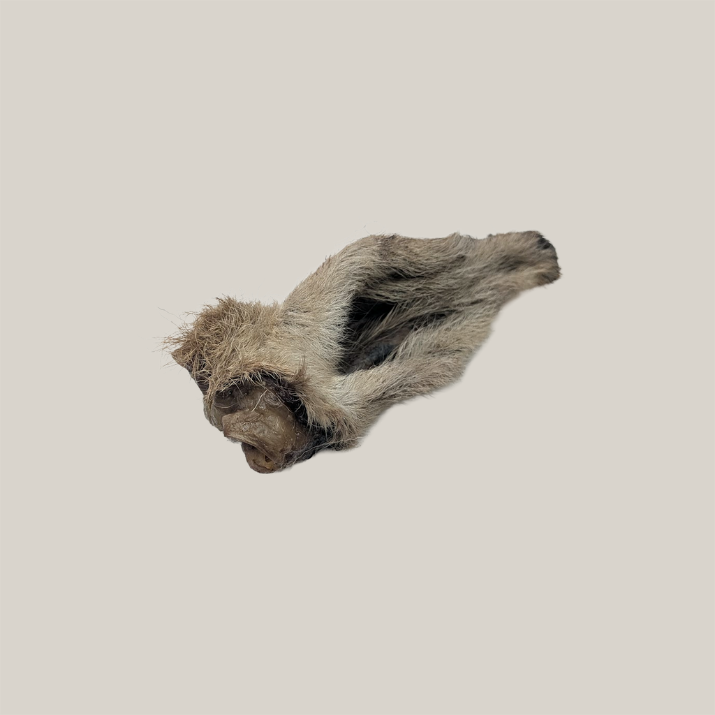 Lamb Ear - Whole with Fur - Natural Dog Chew natural dog chew from Ruff'n Treatz