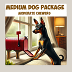Medium Dog Variety Pack of natural dog chews and treats from Ruff'n Treatz