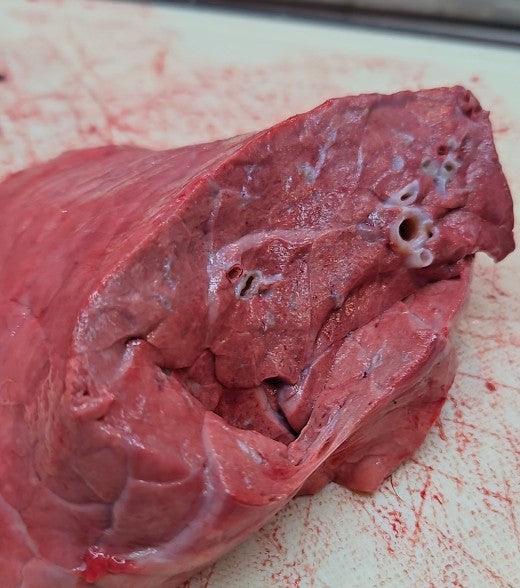 Beef Lung freeze-dried treats, package front view