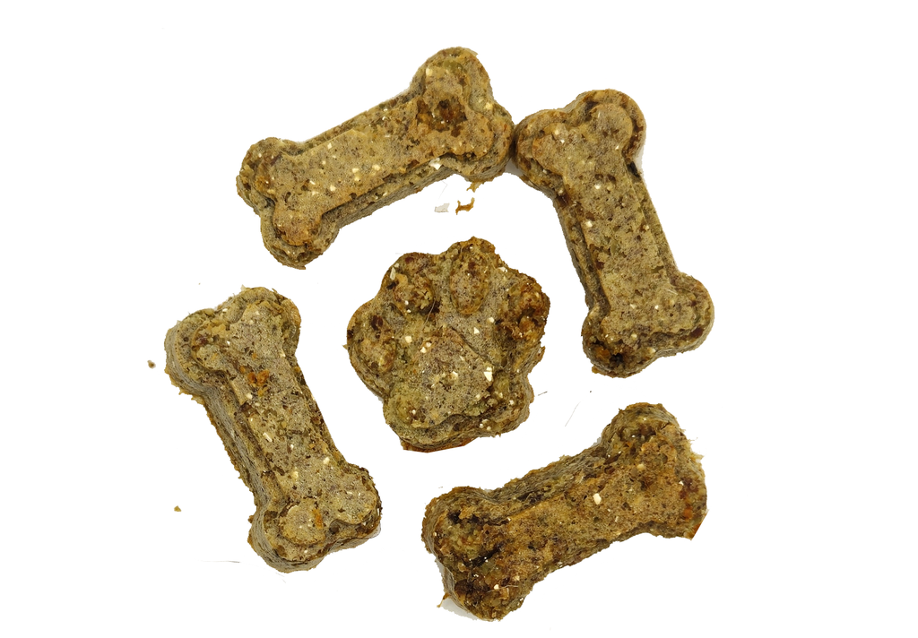 Dog enjoying Buck Biscuits Medium Package biscuit treats
