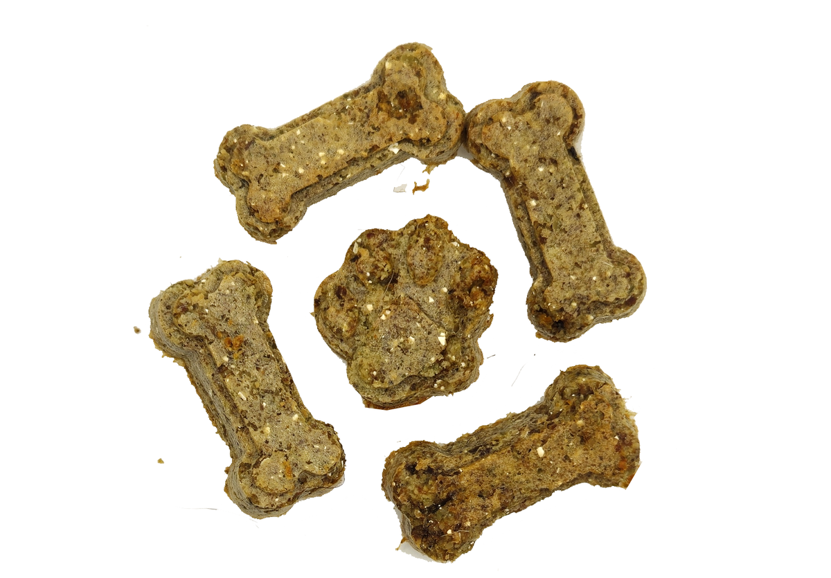 Dog enjoying Buck Biscuits Medium Package biscuit treats