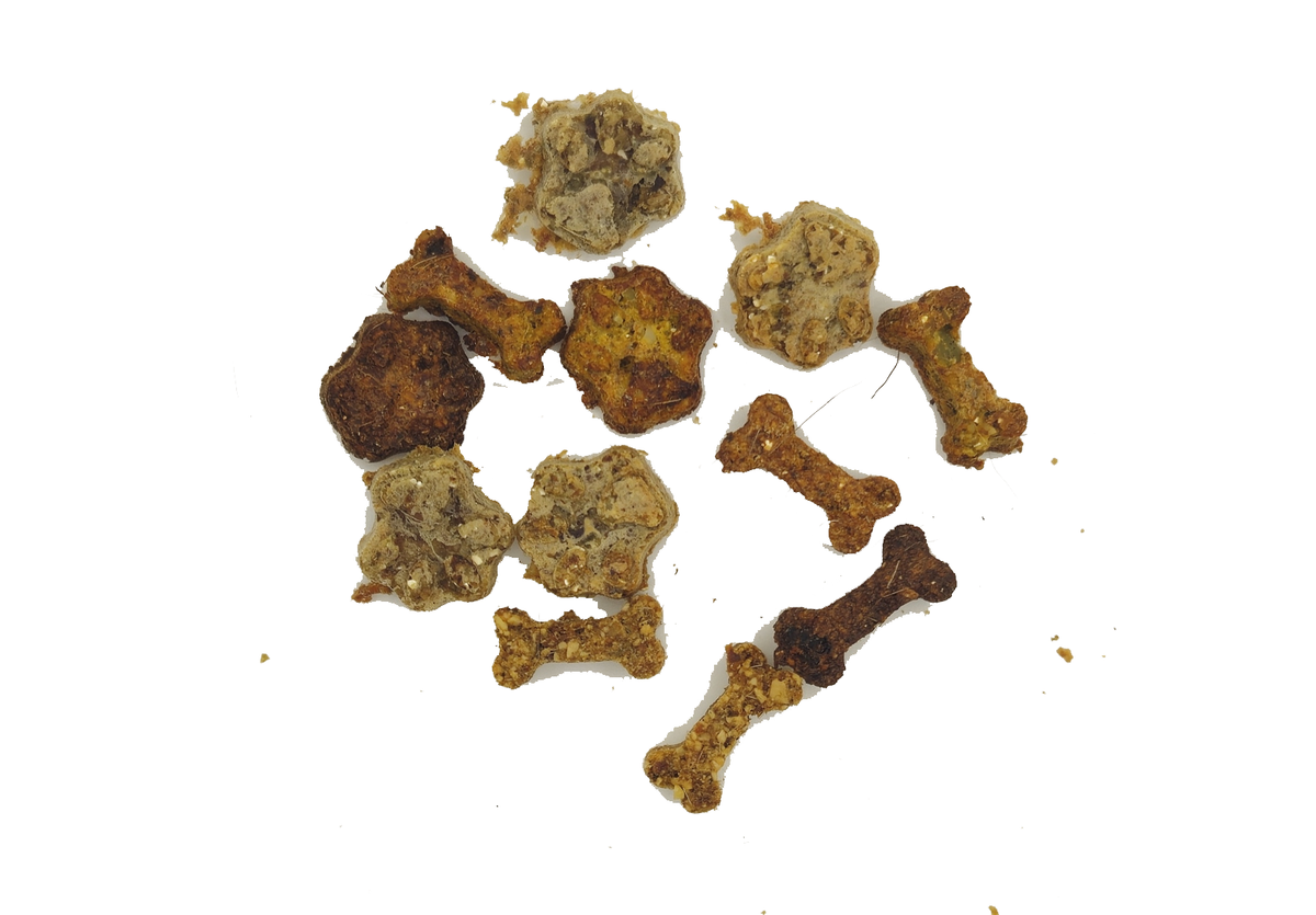 Dog enjoying Buck Biscuits Small Package Trainer Treat biscuit treats