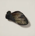 Beef Ear with Fur - Dehydrated Chews natural dog chew from Ruff'n Treatz