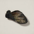 Beef Ear with Fur - Dehydrated Chews natural dog chew from Ruff'n Treatz