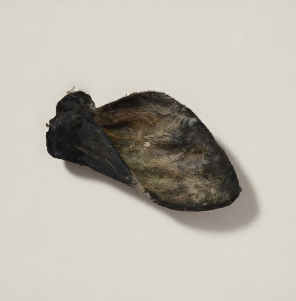 Beef Ear with Fur - Dehydrated Chews natural dog chew from Ruff'n Treatz