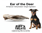 Ear of the Deer natural chews shown at actual size
