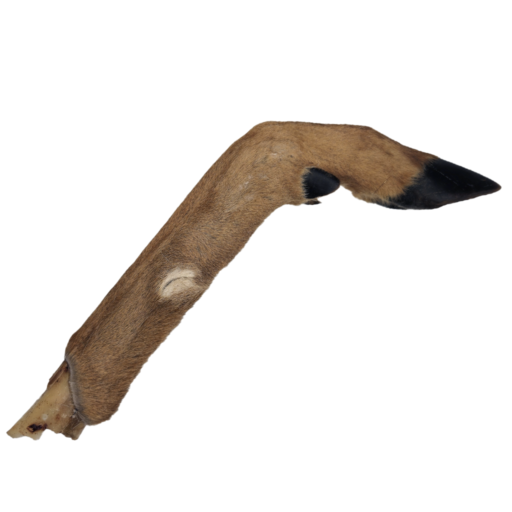 All Natural Deer Leg Dog Bones and Chews