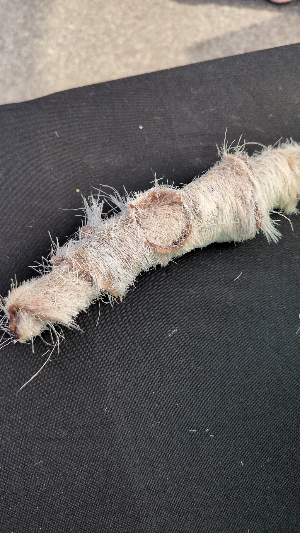 Close-up of Goat Hide Jerky Rolls all-natural dog chews